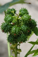 DSC04319