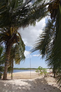 DSC04321