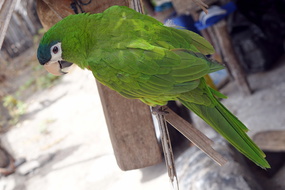 DSC04328
