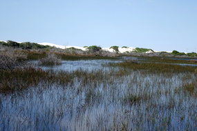 DSC04354