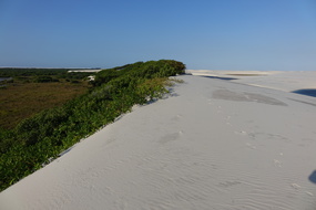 DSC04493