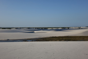 DSC04505