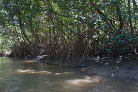DSC04556