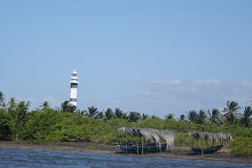 DSC04635