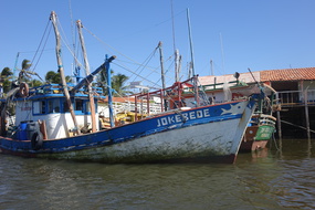DSC04637