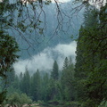 Yosemite 050