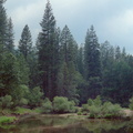 Yosemite 080