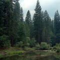 Yosemite 090