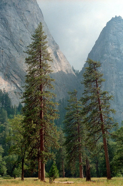 Yosemite_140.jpg