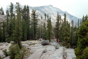 Yosemite 190