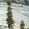 Yosemite 230