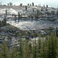 Yosemite 240