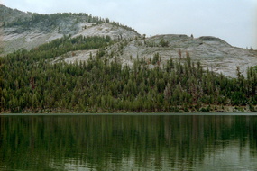 Yosemite 260