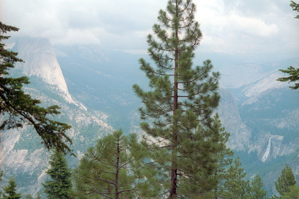 Yosemite 350