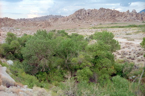 Lac Mono 060
