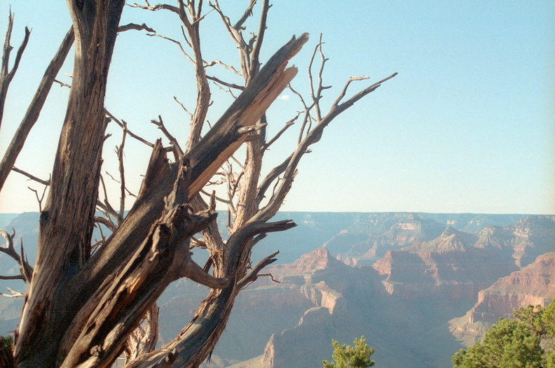 Grand_Canyon_010.jpg