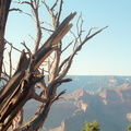 Grand Canyon 010