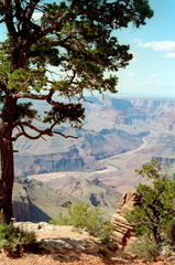 Grand Canyon 040
