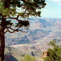 Grand Canyon 040