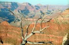 Grand Canyon 150