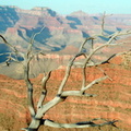 Grand Canyon 150