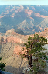Grand Canyon 160