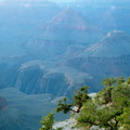 Grand Canyon 240