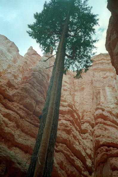 Bryce_Canyon_080.jpg