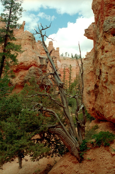Bryce_Canyon_090.jpg
