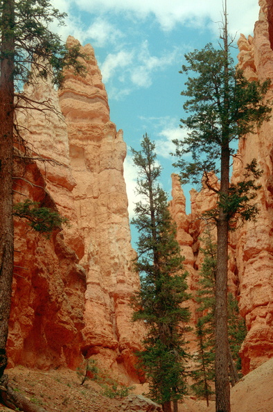 Bryce_Canyon_250.jpg