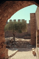Scan-141230-0206