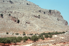 Scan-141230-0246