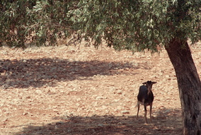 Scan-141230-0247
