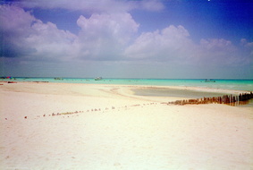 Scan-150104-0016