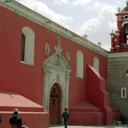 Oaxaca Arbre de Tulé