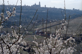 Tolède 005
