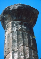 Delphes 050