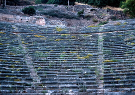 Delphes 075