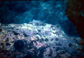 Porto Gemeno 060