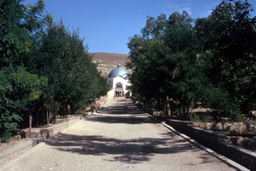 Ghazni 100