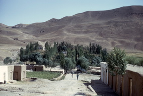 Jam 250