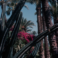 Maroc 1989