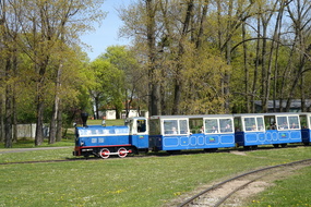 DSC07555