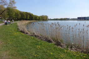 DSC07556
