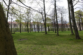DSC06616