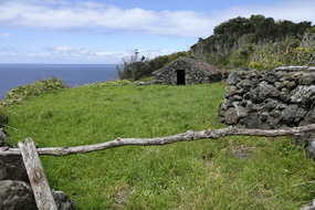  SON2011