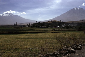 0423-203050