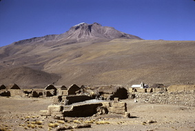 0423-212355