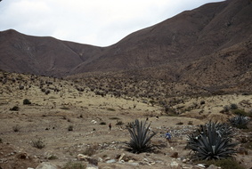 0422-180951