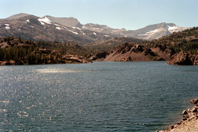scan0377